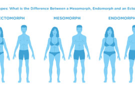 DEL 4: KROPPSTYPER ENDOMORF